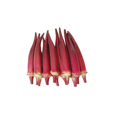 Okra Scarlet Red Seeds – GardenGuru