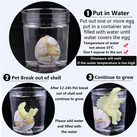 Buy Easter Dinosaur Eggs Hatching Dino Egg Grow in Water Crack with ...