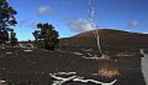 Nova i svaka Vlado - ne ukidajte "Ministarstvo Zelenih" :: Novice :: Lupiga