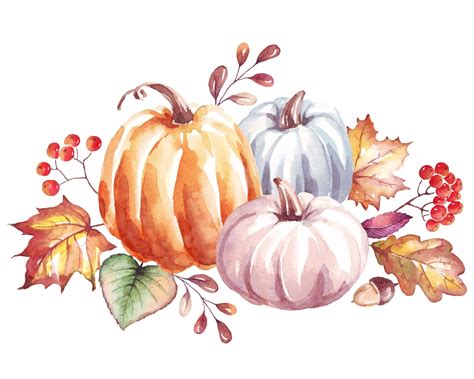 Premium Vector | Pumpkin Watercolor clipart