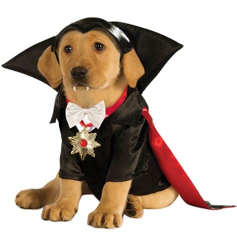 Get Your Paws on the Best Vampire Dog Costumes: Top 10 Picks for ...