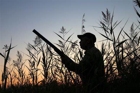 How To Become A Better Hunter This Season - TheWorldOfSurvival.Com