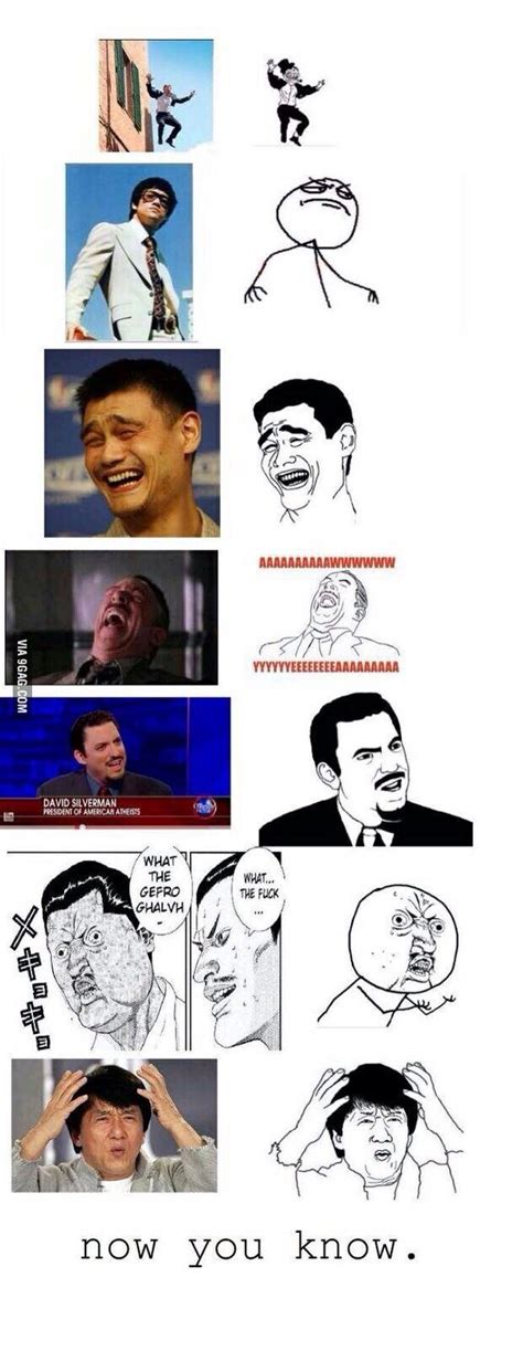 Information Knowledge Intuition Meme 的图像结果