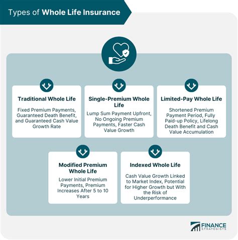 Types of Life Insurance 的图像结果
