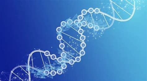 精子DNA碎片率高是怎么回事？