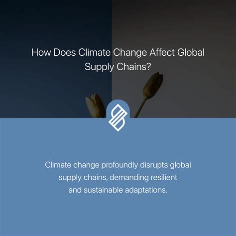 Global Drone Supply Chains → Area → Sustainability