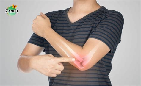 Triphala vs Triphala Guggulu: Which is More Effective for You?