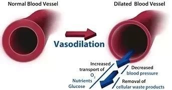 difference between vasoconstriction and vasolidation... - Brainly.in