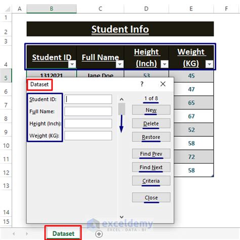 Excel Automated Form 的图像结果