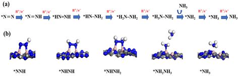 First Principles Study of Double Boron Atoms Supported on Graphitic ...