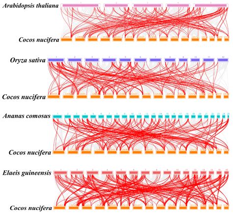 Genome-Wide Identification and Expression Analysis of MYB Transcription ...