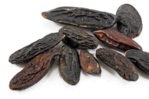 Tonka Bean Uses at Kai Haddon blog