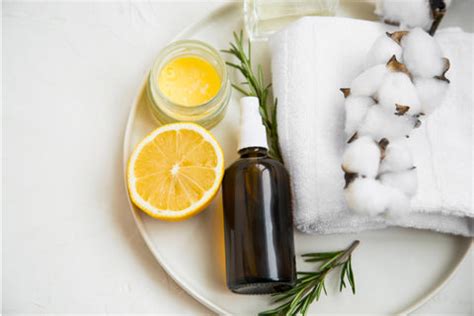 Best DIY Bug Spray Recipe- Vedaoils – VedaOils