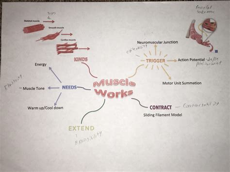 Access Module 5 的图像结果