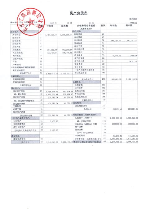 长江工院勘测设计院2020年财务报表-湖北长工院勘测设计有限公司