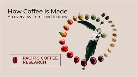 How They Make Coffee 的图像结果