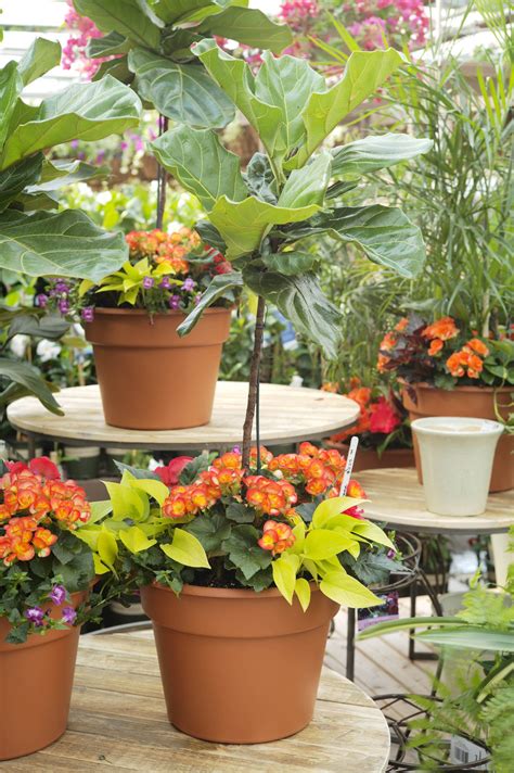 Container Garden Design