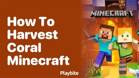 Image result for Coral Farm Minecraft Java