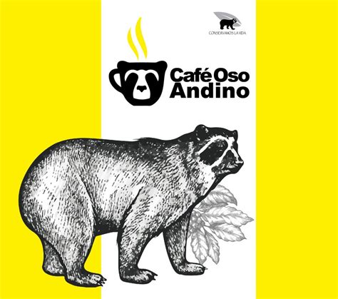 Café Oso Andino, el proyecto que busca proteger, conservar y mantener ...