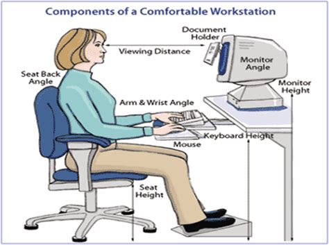 Image result for How to Sit Properly in Computer Lab