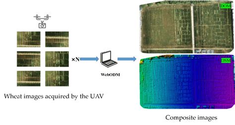 Webodm Tutorial 的图像结果