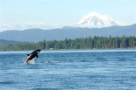 Image result for Sound Geography