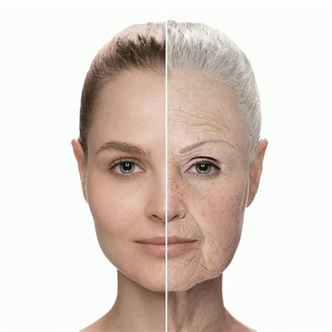 Stop ageing: Innovators extend life of worms using DNA therapy - Super Innovators