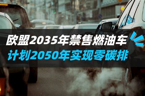 2050 streaming: where to watch movie online?