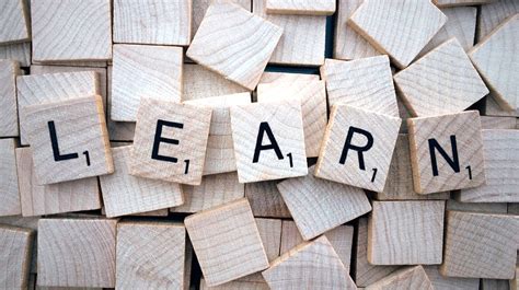 Children Learning Styles 的图像结果