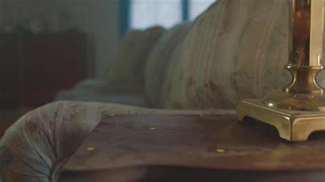 Image result for Marcel the Shell First