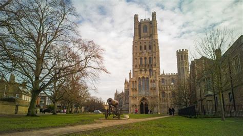 Image result for Camera for Raspberry Pi