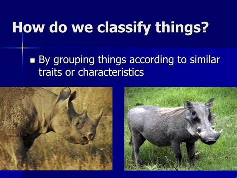 Image result for Classification Stuff