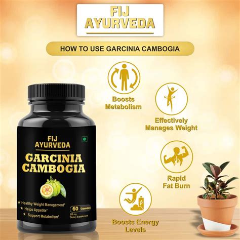 Buy FIJ AYURVEDA GARCINIA CAMBOGIA CAPSULE WITH GREEN TEA & GREEN ...