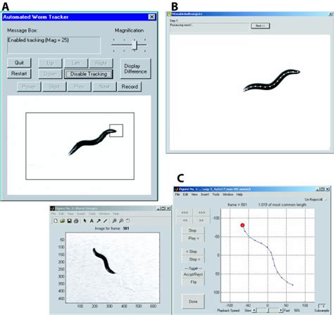 Image result for User Interface Tracking