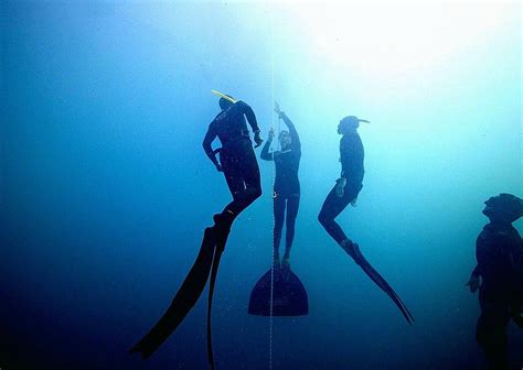 INNERSEA FREEDIVING (2025) All You Need to Know BEFORE You Go (with ...