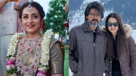 Not Vijay! Trisha Krishnan to Marry Chandigarh Businessman?