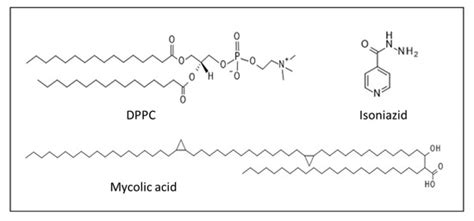 IJMS | Special Issue : Membrane–Peptide Interactions: From Basics to ...