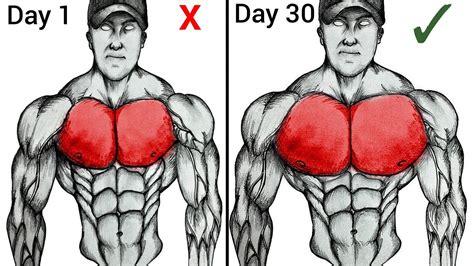 Increase Chest 的图像结果