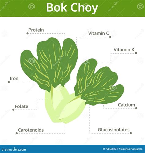 Benefits Of Bok Choy