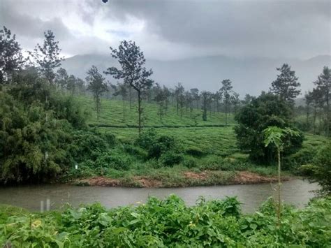 Tripadvisor - Imperial Heights