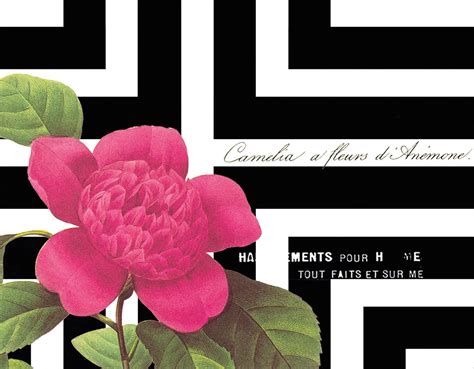Mudlark Etiquette Note Cards, 10-Count, Zadie : Amazon.in: Office Products