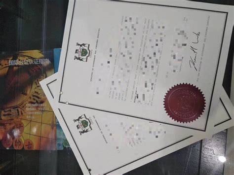 OneOne奥尼获新西兰国家级品质认证——银蕨标志证书 - 知乎