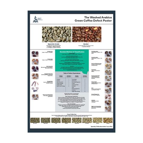 SCA Green Arabica Coffee Classification Poster | Buy Now – Brewing ...