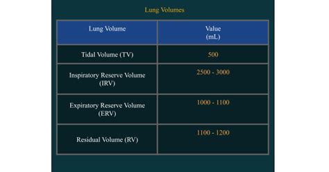 Lung Volumes Respiratory Capacities & Spirometer | AESL