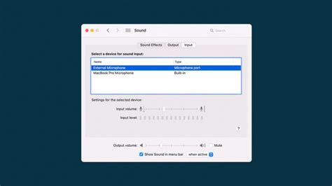 Computer Audio Input 的图像结果