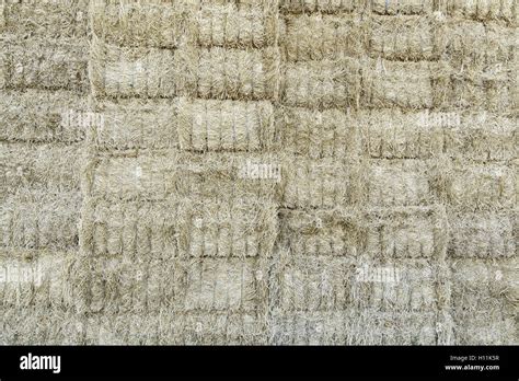 Haystack 的图像结果