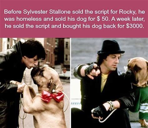 Image result for Super Random Facts