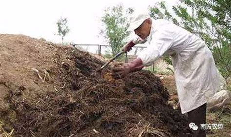 农家肥 的图像结果