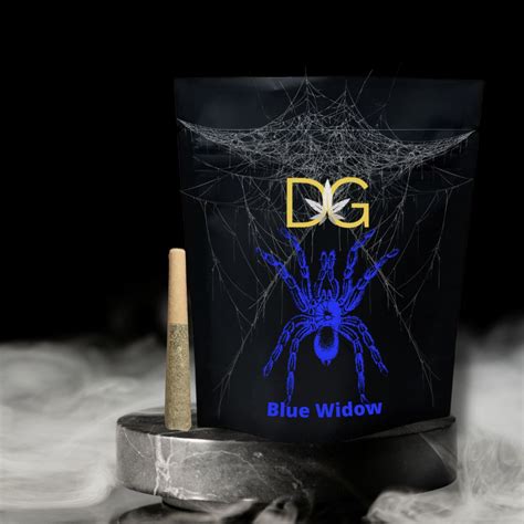Blue Widow - Dykstra Greenhouses