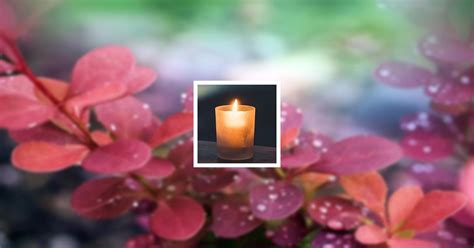 Obituary | Katharine Lee Rice | Ruck Funeral Homes